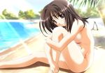  1girl beach breasts brown_eyes brown_hair kashima_neo leg_hug lens_flare memories_off nude omoide_ni_kawaru_kimi_memories_off outdoors outside solo sunny zenra 