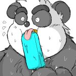  1:1 2006 anthro black_body black_fur black_nose bodily_fluids digital_media_(artwork) eyes_closed food fur giant_panda kemono licking low_res mammal oekaki popsicle portrait solo sweat tongue tongue_out unknown_artist ursid white_body white_fur 