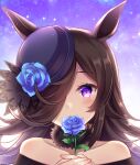  1girl animal_ears bangs bare_shoulders black_hair black_headwear blue_flower blue_rose blush collarbone covered_mouth dress eyebrows_visible_through_hair flower hair_over_one_eye hands_together hands_up hat hat_flower highres holding holding_flower horse_ears long_hair looking_at_viewer off-shoulder_dress off_shoulder own_hands_together purple_eyes rice_shower_(umamusume) rose solo suzumia_(daydream) tilted_headwear umamusume upper_body 