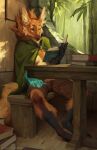  2021 anthro bamboo bench book breasts canid canine cape clothing digitigrade female furniture hi_res honovy mammal maned_wolf neck_tuft sitting solo table tuft under_boob 