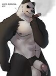  2021 abs absurd_res anthro balls beastars black_sclera bodily_fluids cigar dialogue english_text erection genital_fluids genitals giant_panda gouhin hi_res humanoid_genitalia humanoid_penis jayjay_(artist) looking_at_viewer male mammal muscular muscular_anthro muscular_male navel nipples nude pecs penis precum scar simple_background smoke smoking solo standing talking_to_viewer text ursid white_background 