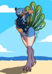  absurd_res anthro avian beach bird blue_body blue_feathers bulge clothing feathers galliform girly hi_res male open_mouth peacock_feather peafowl phasianid rotten_owl seaside seductive solo swimwear tomi_(arino) 
