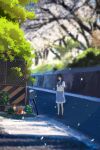  1girl bangs bicycle bicycle_basket black_hair blue_skirt blurry blurry_background blurry_foreground blush chain-link_fence cirnq depth_of_field falling_petals fence flower green_neckwear ground_vehicle highres loafers looking_at_viewer medium_hair neckerchief original outdoors petals plant pleated_skirt potted_plant retaining_wall road scenery school_uniform serafuku shoes skirt solo standing street traffic_cone tree 