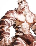  1boy abs absurdres animal_ears arknights bara black_male_underwear briefs brown_theme bulge chest_hair cowboy_shot furry highres large_pectorals looking_to_the_side maiyabuhantang male_focus male_underwear mountain_(arknights) muscular muscular_male navel nipples scar scar_across_eye scar_on_arm scar_on_chest scar_on_stomach short_hair solo stomach tail thick_thighs thighs tiger_boy tiger_ears tiger_tail underwear underwear_only white_fur white_hair 