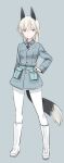  1girl animal_ears bangs belt blue_belt blue_eyes blue_jacket boots closed_mouth commentary eila_ilmatar_juutilainen eyebrows_visible_through_hair fox_ears fox_tail full_body grey_background hand_on_hip jacket knee_boots long_hair long_sleeves looking_at_viewer military military_uniform no_pants older pantyhose pouch shimada_fumikane silver_hair simple_background smile solo standing strike_witches tail uniform white_footwear white_legwear world_witches_series 