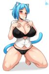  1girl absurdres animal_ears black_bra black_panties blue_hair blue_tail blush bra breasts cat_ears cat_tail cleavage covered_nipples hand_on_own_chest highres humanization jmg kneeling large_breasts looking_at_viewer mature nicole_watterson nipples panties polo_shirt red_eyes short_hair skirt smile solo tail the_amazing_world_of_gumball thighs unbuttoned unbuttoned_shirt underwear whisker_markings white_background 