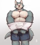  2021 anthro beastars bodily_fluids bottomwear canid canine canis clothed clothing grey_background hi_res legoshi_(beastars) makowolf1 male mammal muscular muscular_anthro muscular_male nipples pecs scar shirt shorts simple_background solo standing sweat topless topless_male topwear wolf 