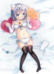  1girl animal_ears bell black_legwear blue_eyes blush bra breasts cat_ears cat_girl cat_tail embarrassed heart heart_pillow highres jingle_bell kohaku_muro looking_at_viewer navel on_bed original panties pillow polka_dot polka_dot_bra polka_dot_panties short_hair silver_hair small_breasts solo tail thighhighs underwear 