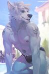  2019 anthro arctic_wolf biped blue_sky canid canine canis chromatic_aberration clothed clothing day digital_media_(artwork) grin group male mammal muscular muscular_anthro muscular_male outside poolside skimpy sky smile solo_focus swimwear topless water whiteleonard wolf 