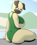  2018 anthro big_butt bojack_horseman breasts butt canid canine canis clothed clothing davidsanchan domestic_dog female looking_away looking_back mammal molosser netflix one-piece_swimsuit pickles_aplenty portrait pug rear_view small_molosser solo swimwear tan_body three-quarter_portrait toy_dog 