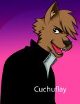  anthro black_eyes brown_body brown_fur canid canine canis clothing cuchufflay fur hair hair_over_eye hi_res jacket male mammal one_eye_obstructed open_mouth simple_background solo topwear wolf 