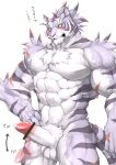  2019 abs absurd_res anthro biceps captainjohkid censored chest_tuft felid fur genitals hair hi_res male mammal muscular muscular_anthro muscular_male nude pantherine pecs penis scar shiro_(world_flipper) simple_background solo striped_body striped_fur stripes tiger tuft white_body white_fur world_flipper 