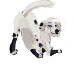  101_dalmatian_street 101_dalmatians absurd_res awildlionappeared butt canid canine canis clothing dalmatian disney dolly_(101_dalmatians) domestic_dog female feral hi_res leg_warmers legwear mammal naturally_censored presenting presenting_hindquarters raised_tail rear_view solo 