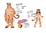  absurd_res anthro balls breasts brynjar dad_bod digital_media_(artwork) duo erection father felid feline female frenhm fur genitals hestia_brynjarsdottir hi_res incest_(lore) male male/female mammal model_sheet pantherine parent penis pussy simple_background tiger 