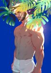  1boy abs absurdres bara bare_pecs beard brown_hair bulge character_request check_character check_copyright chest_hair copyright_request cowboy_shot dolphin_shorts facial_hair highres horikwawataru large_pectorals looking_at_viewer male_focus male_swimwear mature_male muscular muscular_male navel navel_hair nike nipples original plant short_hair shorts solo stomach swim_trunks swimwear 