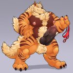  1:1 animal_genitalia anthro anthrofied arcanine arm_tuft balls big_penis chest_tuft clothing elbow_tufts erection fur genitals hi_res knot male muscular muscular_anthro muscular_male nintendo nipples nude orange_body pecs penis pok&eacute;mon pok&eacute;mon_(species) schwarzfox solo standing tuft underwear video_games 