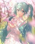  1girl aqua_eyes bangs cherry_blossoms collared_dress cowboy_shot dappled_sunlight dress eyebrows_visible_through_hair hair_between_eyes hands_up hatsune_miku highres lens_flare long_hair long_sleeves looking_at_viewer parted_lips smile solo sunlight tree_branch twintails u2hara very_long_hair vocaloid white_dress 