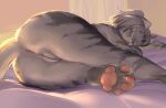  2021 anthro anus biped butt digital_media_(artwork) domestic_cat eyes_closed felid feline felis female fur genitals grey_body grey_fur grey_hair hair kikurage mammal pawpads paws pussy sleeping solo 