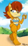  anthro archie_comics bikini breasts brown_hair chipmunk chubby_female cleavage clothed clothing female ground_squirrel hair hi_res mammal mrxrickyx outside overweight overweight_anthro overweight_female rodent sally_acorn sciurid slightly_chubby smile solo sonic_the_hedgehog_(archie) sonic_the_hedgehog_(comics) sonic_the_hedgehog_(series) swimwear 