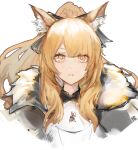  1girl animal_ears arknights armor blemishine_(arknights) blonde_hair breastplate cape fur-trimmed_cape fur_trim gnai highres horse_ears long_hair ponytail portrait white_background yellow_eyes 