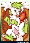  absurd_res animal_genitalia balls bed bedroom_eyes blush feral furniture genitals hay hi_res legendary_pok&eacute;mon lying narrowed_eyes nest nintendo on_back paws penis pocketpaws pok&eacute;mon pok&eacute;mon_(species) presenting seductive shaymin sheath sky_forme_shaymin spread_legs spreading tapering_penis video_games 