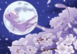  artist_name closed_eyes commentary_request enishi_(menkura-rin10) flower from_side gen_1_pokemon highres mew moon mythical_pokemon night no_humans outdoors pokemon pokemon_(creature) sky solo toes white_flower 