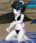  anthro beach bikini clothing female freedom_planet freedom_planet_2 giant_panda hi_res mammal neera_li seaside solo splitalien summer sunscreen swimwear ursid video_games 