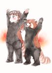  1girl :&lt; animal arms_up blush brown_background brown_eyes brown_hair closed_mouth commentary_request gomennasai hair_ornament long_sleeves looking_away original red_panda red_panda_costume red_panda_tail sleeves_past_wrists solo standing striped_tail tail 