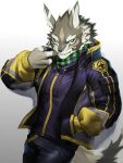  absurd_res anthro canid canine canis clothed clothing fur green_eyes hi_res jackal male mammal piercing seth_(tas) solo tokyo_afterschool_summoners video_games vlw4zegrsgtsi6e 