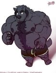 anthro biceps body_hair bulge canid canine canis clothing elaz happy_trail hi_res male mammal maneater muscular muscular_anthro muscular_male nipples overweight overweight_anthro overweight_male pecs simple_background solo underwear wolf 