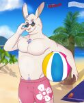  anthro ball beach beach_ball big_ears buckteeth chest_tuft clothing eyewear fur hi_res lagomorph leporid looking_at_viewer male mammal muscular muscular_anthro muscular_male outside rabbit sea seachord seaside shirtless sky solo sunglasses swimming_trunks swimwear teeth tuft water white_body white_fur 