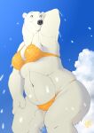  anthro beach bikini breasts brown_eyes clothing cloud curvy_figure dripping female hi_res low-angle_view mammal polar_bear seaside sky slightly_chubby smile solo swimwear two_piece_swimsuit ukabor ursid ursine voluptuous wet wide_hips worm&#039;s-eye_view 