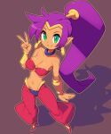  1girl blue_choker breasts brown_background choker cleavage commentary_request dark_skin dark_skinned_female earrings full_body green_eyes hand_up hoop_earrings jewelry long_hair looking_at_viewer medium_breasts metata midriff navel pointy_ears purple_hair shadow shantae_(character) shantae_(series) simple_background smile solo standing v 