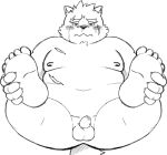  anthro anus balls belly blush canid canine canis domestic_dog embarrassed erection foreskin genitals male mammal marumaru_hh monochrome moritaka nipples nude overweight overweight_anthro overweight_male penis scar small_penis solo spread_legs spreading tokyo_afterschool_summoners video_games 