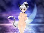  animal_ears blush cat_ears catgirl covering covering_breasts darker_than_black flat_chest hair_ribbon highres long_hair moon nekomimi nude ponytail purple_eyes pussy ribbon silver_hair tail wallpaper water yin 