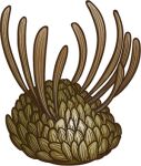  2013 alberio974 ambiguous_gender digital_drawing_(artwork) digital_media_(artwork) feral green_body low_res marine mollusk scales solo spikes spikes_(anatomy) spines wiwaxia 