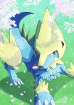  blue_fur brown_eyes claws closed_mouth commentary_request day gen_3_pokemon grass highres legs_apart manectric outdoors petals pokemon signature smile standing tanpakuroom 