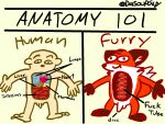  2020 anatomy anthro balls canid canine comparing dasoupguy diagram duo english_text flaccid fox genitals guts heart_(organ) hi_res human humor intestines liver lung male mammal nude organs penis profanity simple_background smile standing stomach text the_truth url white_background 