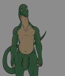  absurd_res anthro baccus_loka balls belly big_balls big_penis collaboration conditional_dnp fan_character foreskin genitals green_body green_skin hi_res kadath lizard long_neck male monitor_lizard ocular_prosthetic penis prosthetic reptile scalie scar solo tan_body tan_skin uncut wsad_(artist) yellow_eyes 