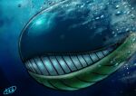  air_bubble black_eyes bubble commentary_request gen_3_pokemon kaosu_(kaosu0905) no_humans parted_lips pokemon pokemon_(creature) signature solo teeth underwater wailord 