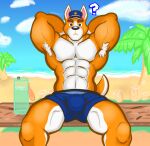  absurd_res akita animal_crossing anthro armpit_hair beach body_hair bottle bulge canid canine canis clothing copper_(animal_crossing) domestic_dog furniture genital_outline hands_behind_head hat headgear headwear hi_res male mammal muscular nintendo notedwolf penis_outline police_officer poster presenting raised_arm seaside sitting solo spitz table video_games water_bottle 