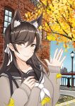  1girl atago_(azur_lane) atago_(cruiser) atago_(school_daydream)_(azur_lane) autumn autumn_leaves azur_lane bangs black_sailor_collar brick_wall brown_hair extra_ears ginkgo hair_ribbon highres long_hair looking_at_viewer mole mole_under_eye nekkusu_(nex_06) official_alternate_costume outdoors ribbon sailor_collar solo swept_bangs tree upper_body white_neckwear white_ribbon yellow_eyes 