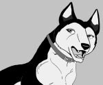  age_difference anonymous_artist black_body black_fur canid canine canis comic domestic_dog female fur german_shepherd ginga_densetsu_weed herding_dog hi_res kind looking_at_viewer mammal monochrome pastoral_dog rue solo younger_female 