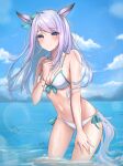 animal_ears bikini mejiro_mcqueen_(umamusume) soybean_(hisoybean) swimsuits tail uma_musume_pretty_derby wet 
