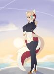  anthro blue_eyes bottomless clothed clothing dullyarts female genitals hi_res leg_warmers legwear linoone nintendo pok&eacute;mon pok&eacute;mon_(species) pok&eacute;morph pussy solo sweater topwear video_games 