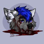  1:1 anthro blood blue_eyes blue_hair bodily_fluids canid canine canis corpse dead_eyes death decapitation gore grey_body hair kolkolukija macabre male mammal nosebleed portrait sad solo wolf 