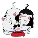  101_dalmatians 101_dalmatians:_the_series 1:1 2014 bodily_fluids canid canine canis collar dalmatian disney dog_food domestic_dog duo ear_piercing fangs female feral food food_on_face green_eyes half-closed_eyes lonbluewolf male mammal narrowed_eyes one_eye_closed open_mouth piercing rolly_(101_dalmatians) saliva saliva_string simple_background tongue tongue_out two-tone_(101_dalmatians) white_background 