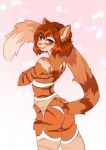  anthro braided_hair clothing domestic_cat felid feline felis female garter_straps hair hi_res legwear lingerie malina_(athiesh) mammal solo solo_focus stockings tabby_cat translucent vincher 