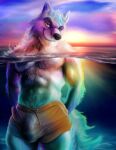  2021 abs anthro brown_nose bulge canid canine canis clothed clothing ear_piercing ear_ring eyebrows fur genital_outline hands_behind_back hi_res killianwalker looking_at_viewer male mammal multicolored_body multicolored_fur outside partially_submerged penis_outline piercing sea sky smile solo standing standing_in_water sun sunset swimming_trunks swimwear topless water white_body white_fur wolf yellow_eyes 