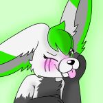  anthro athen_hobkin blep blush blush_lines budpup green_background hobkin male profile_picture simple_background solo tongue tongue_out 